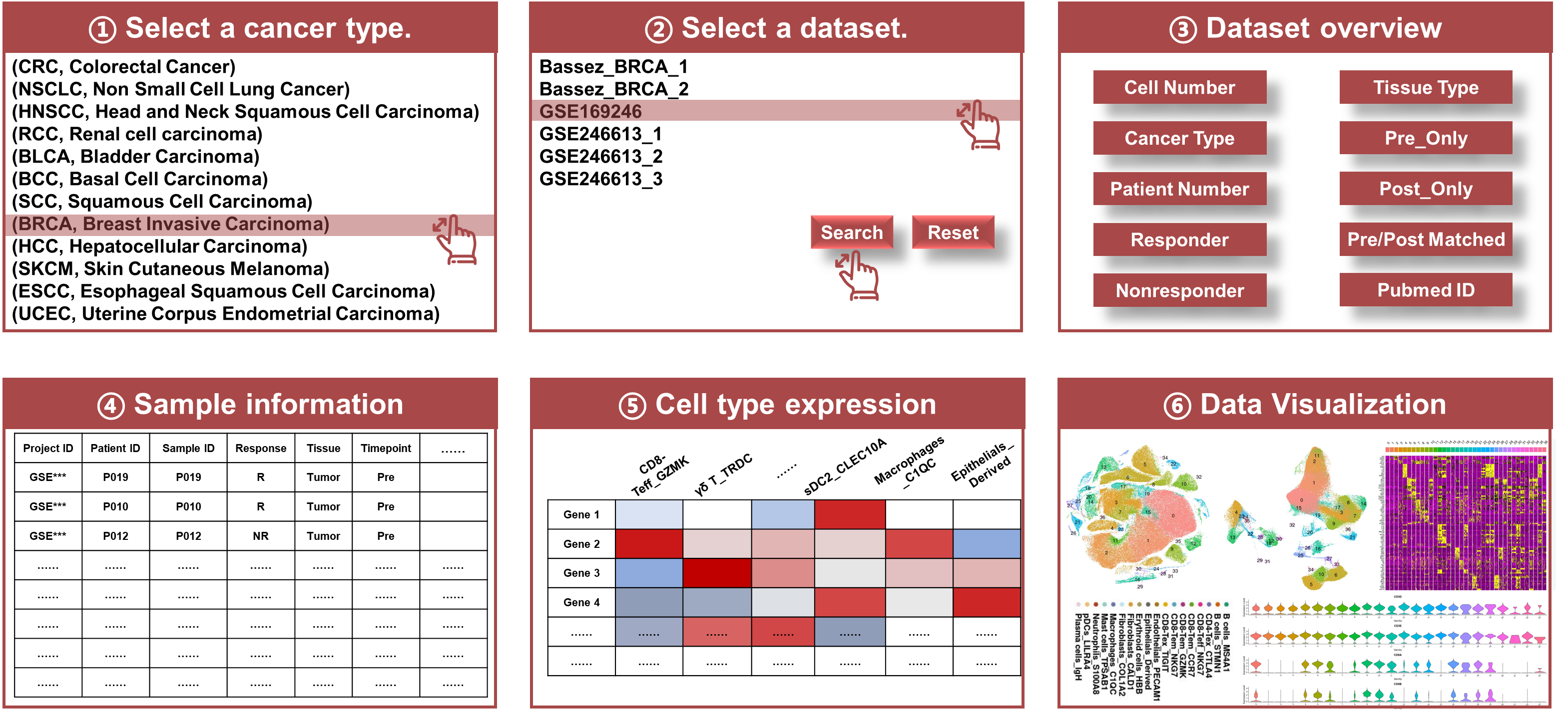 Introduction picture