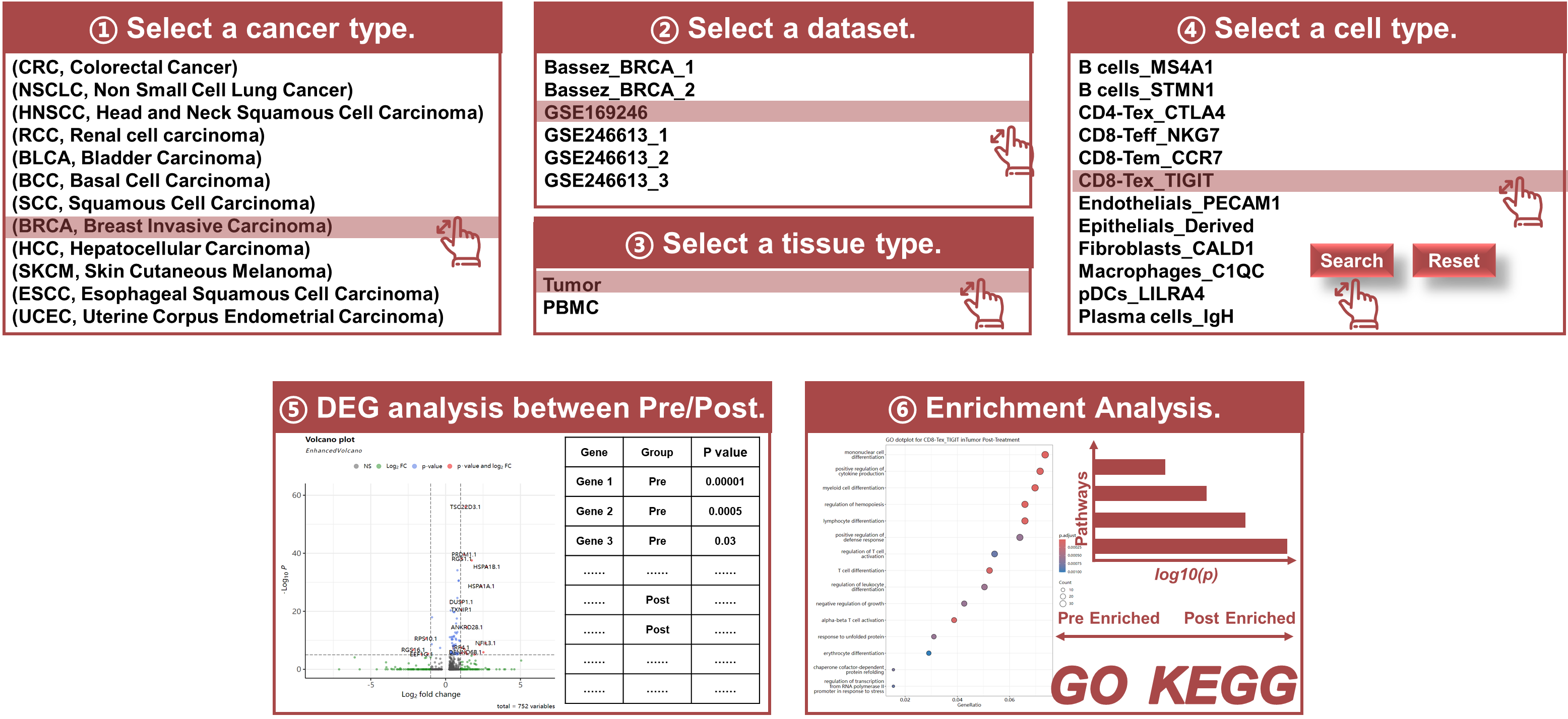 Introduction picture