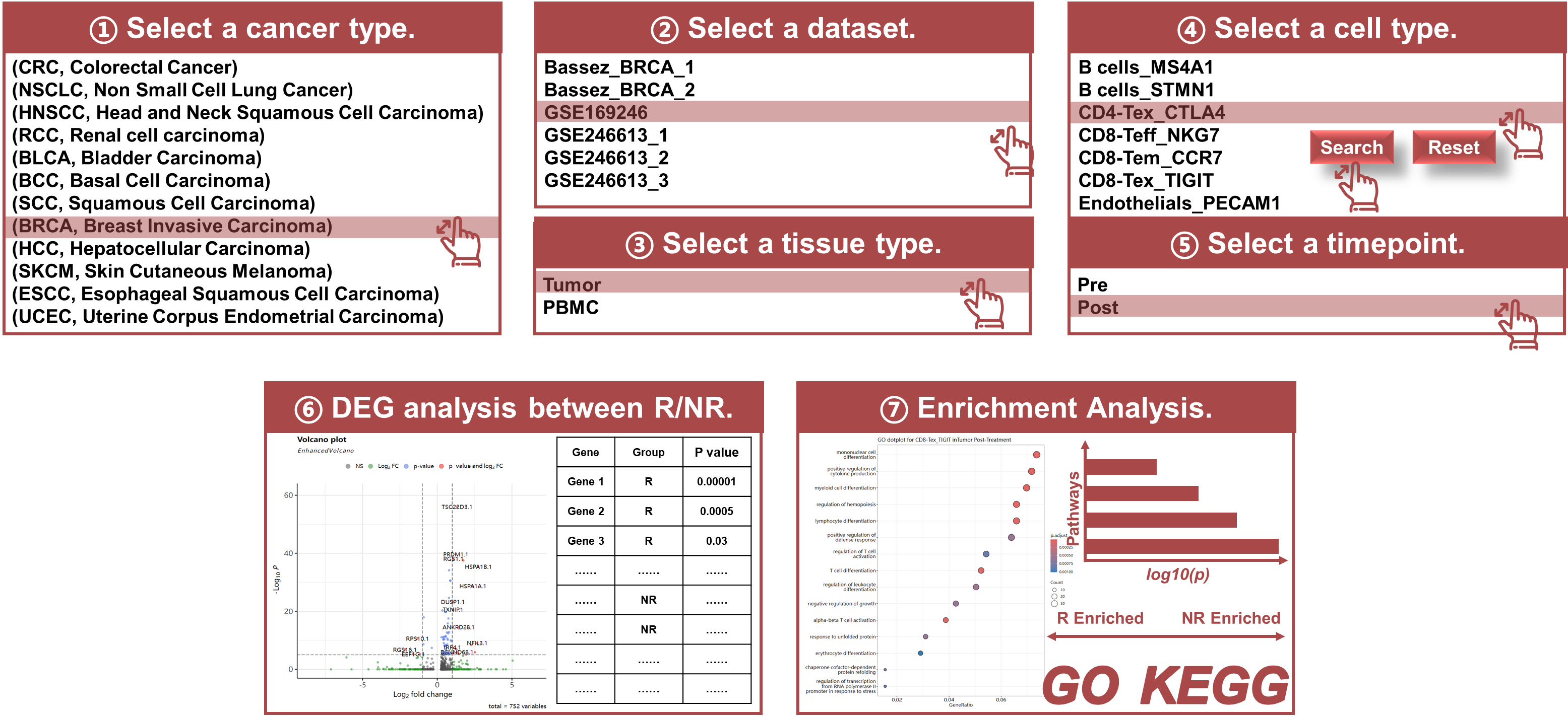 Introduction picture