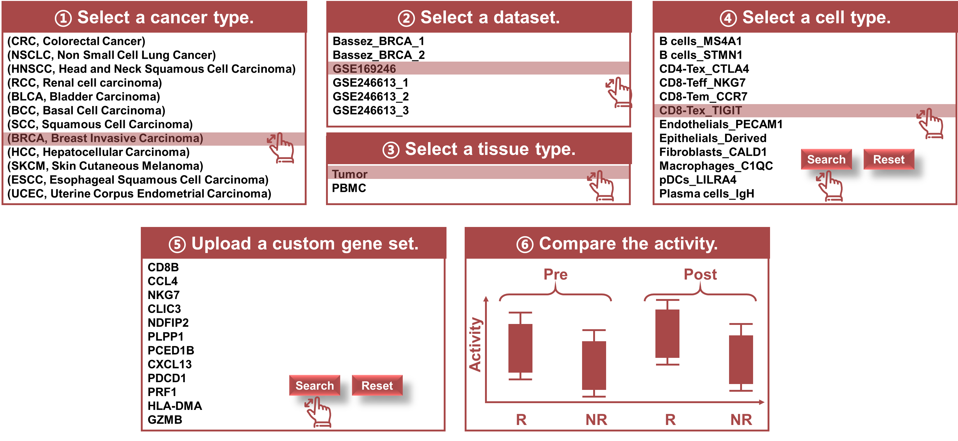 Introduction picture