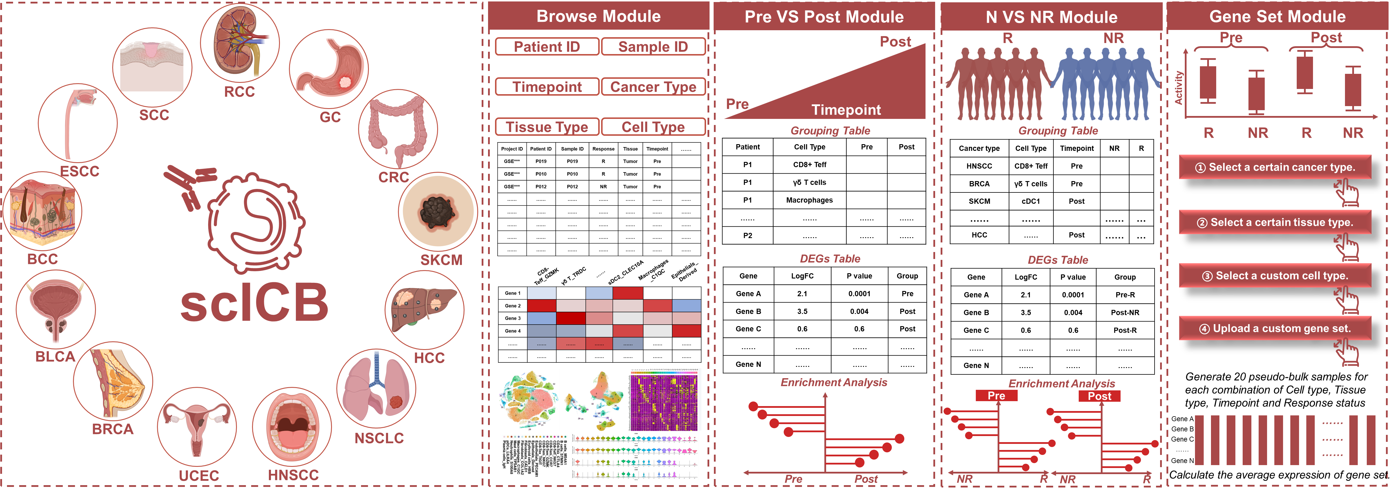 Introduction picture